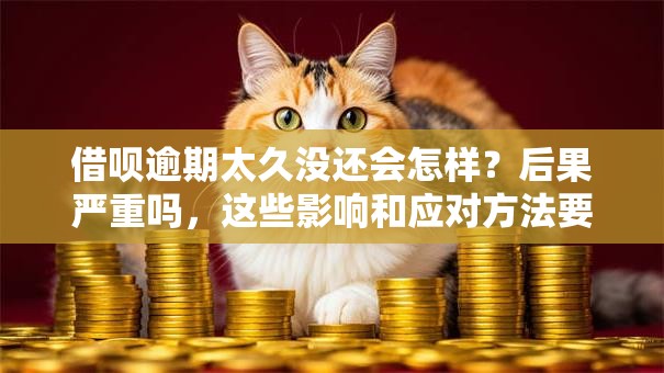 借呗逾期太久没还会怎样？后果严重吗，这些影响和应对方法要知道
