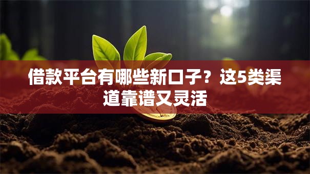 借款平台有哪些新口子？这5类渠道靠谱又灵活