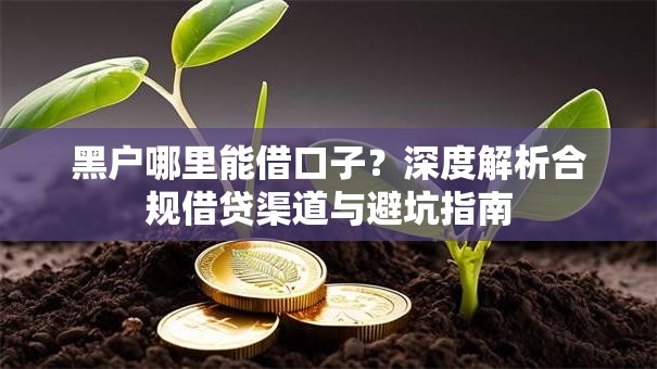 黑户哪里能借口子？深度解析合规借贷渠道与避坑指南