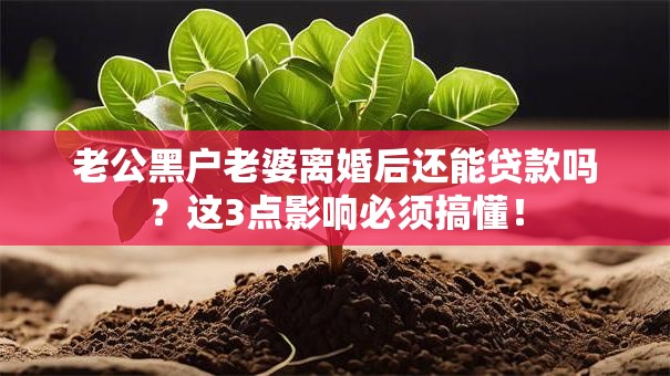 老公黑户老婆离婚后还能贷款吗？这3点影响必须搞懂！