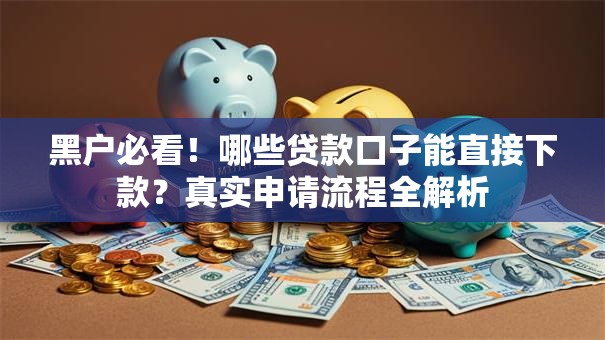 黑户必看！哪些贷款口子能直接下款？真实申请流程全解析