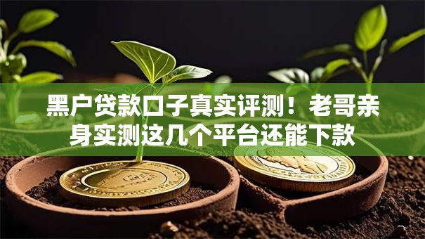 黑户贷款口子真实评测！老哥亲身实测这几个平台还能下款