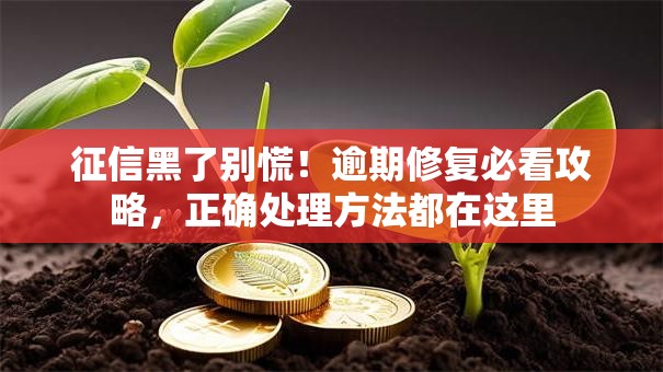 征信黑了别慌！逾期修复必看攻略，正确处理方法都在这里