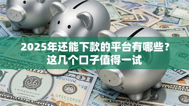 2025年还能下款的平台有哪些?这几个口子值得一试 2025年还能下款的平台有哪些?这几个口子值得一试