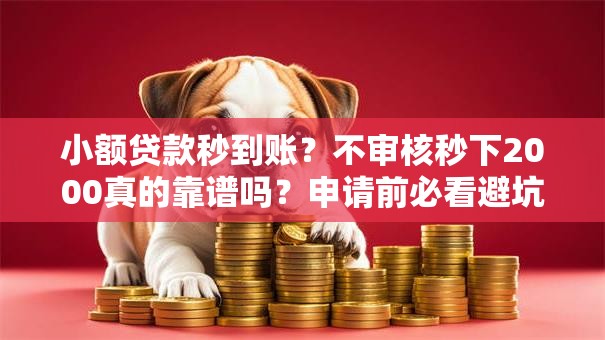 小额贷款秒到账？不审核秒下2000真的靠谱吗？申请前必看避坑指南