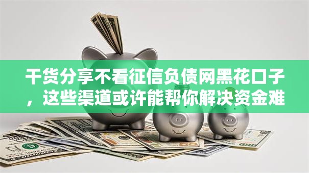 干货分享不看征信负债网黑花口子，这些渠道或许能帮你解决资金难题！