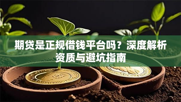 期贷是正规借钱平台吗？深度解析资质与避坑指南