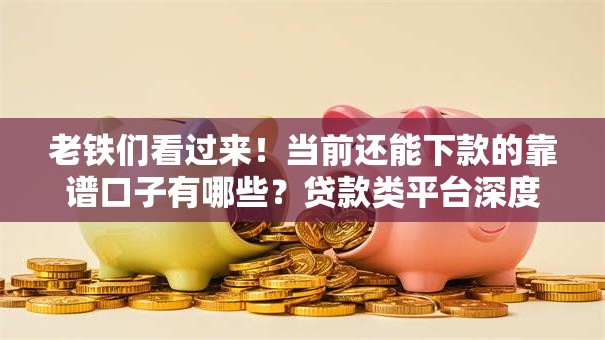 老铁们看过来！当前还能下款的靠谱口子有哪些？贷款类平台深度解析