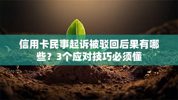 信用卡民事起诉被驳回后果有哪些？3个应对技巧必须懂