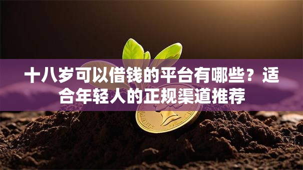 十八岁可以借钱的平台有哪些？适合年轻人的正规渠道推荐