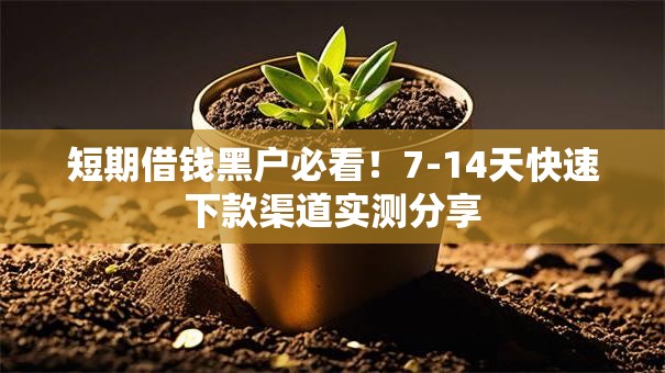 短期借钱黑户必看！7-14天快速下款渠道实测分享