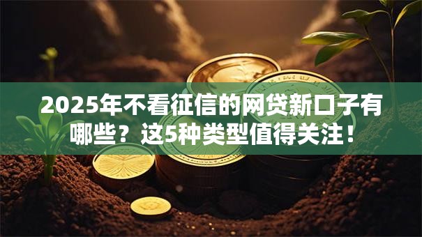 2025年不看征信的网贷新口子有哪些？这5种类型值得关注！