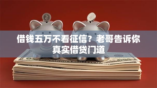 借钱五万不看征信？老哥告诉你真实借贷门道