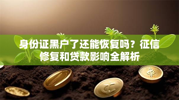 身份证黑户了还能恢复吗？征信修复和贷款影响全解析