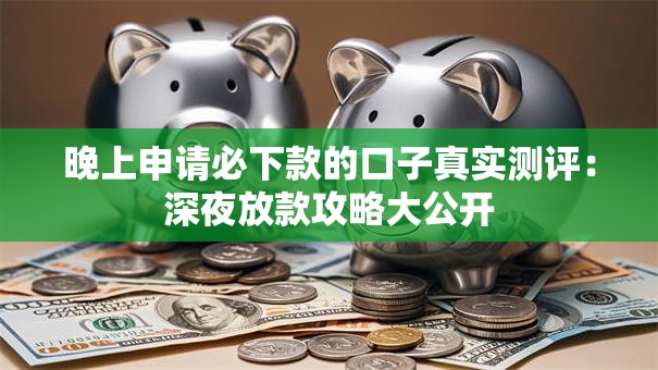 晚上申请必下款的口子真实测评：深夜放款攻略大公开
