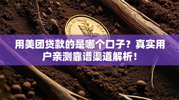 用美团贷款的是哪个口子？真实用户亲测靠谱渠道解析！