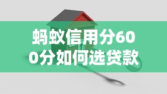 蚂蚁信用分600分如何选贷款期限？三大策略助你轻松搞定