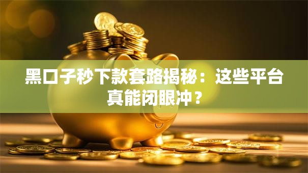 黑口子秒下款套路揭秘：这些平台真能闭眼冲？