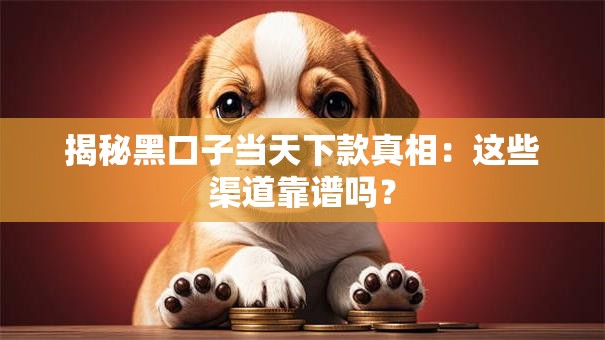 揭秘黑口子当天下款真相：这些渠道靠谱吗？