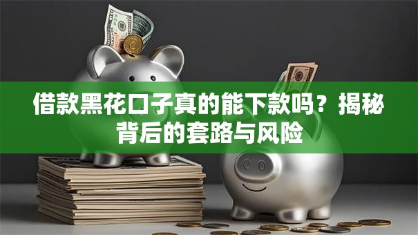 借款黑花口子真的能下款吗？揭秘背后的套路与风险