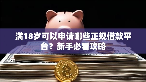 满18岁可以申请哪些正规借款平台？新手必看攻略