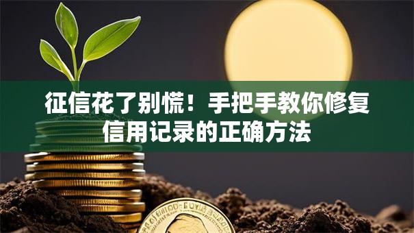 征信花了别慌！手把手教你修复信用记录的正确方法