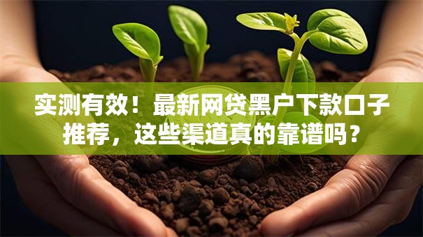 实测有效！最新网贷黑户下款口子推荐，这些渠道真的靠谱吗？