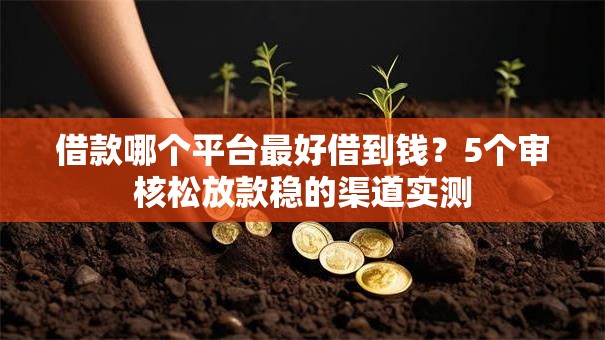 借款哪个平台最好借到钱？5个审核松放款稳的渠道实测