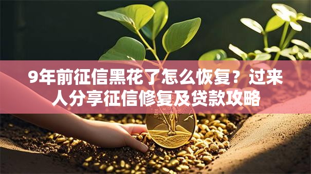 9年前征信黑花了怎么恢复？过来人分享征信修复及贷款攻略