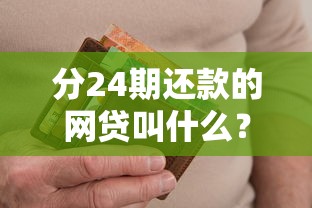 分24期还款的网贷叫什么？这几类平台最适合周转