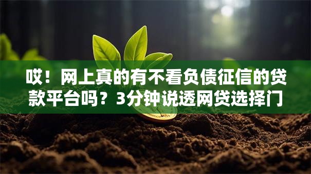 哎！网上真的有不看负债征信的贷款平台吗？3分钟说透网贷选择门道