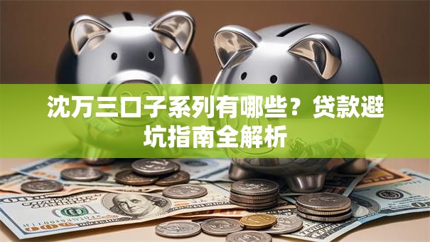 沈万三口子系列有哪些？贷款避坑指南全解析
