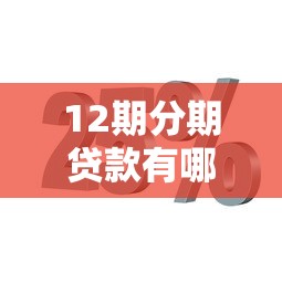 12期分期贷款有哪些靠谱口子？精选平台实测分享