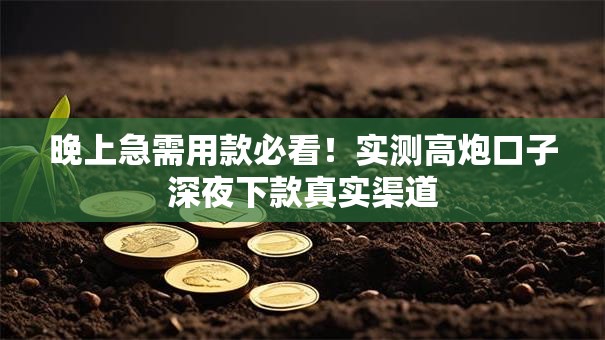 晚上急需用款必看！实测高炮口子深夜下款真实渠道