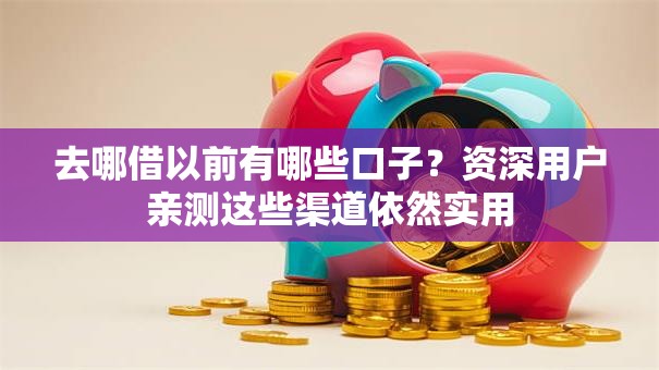 去哪借以前有哪些口子？资深用户亲测这些渠道依然实用