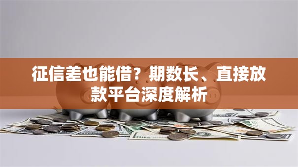 征信差也能借？期数长、直接放款平台深度解析
