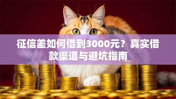 征信差如何借到3000元？真实借款渠道与避坑指南