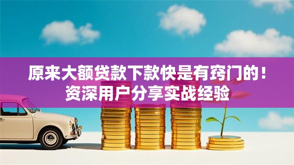原来大额贷款下款快是有窍门的！资深用户分享实战经验