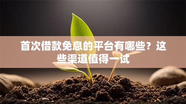 首次借款免息的平台有哪些？这些渠道值得一试