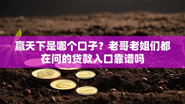 赢天下是哪个口子？老哥老姐们都在问的贷款入口靠谱吗