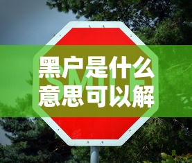 黑户是什么意思可以解除吗？5个解除方法+避坑干货分享
