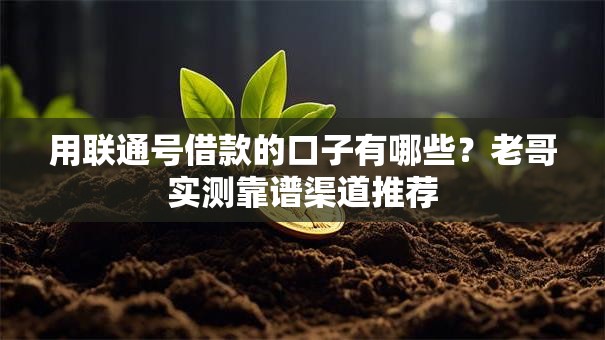 用联通号借款的口子有哪些？老哥实测靠谱渠道推荐