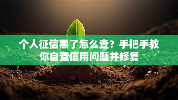 个人征信黑了怎么查？手把手教你自查信用问题并修复