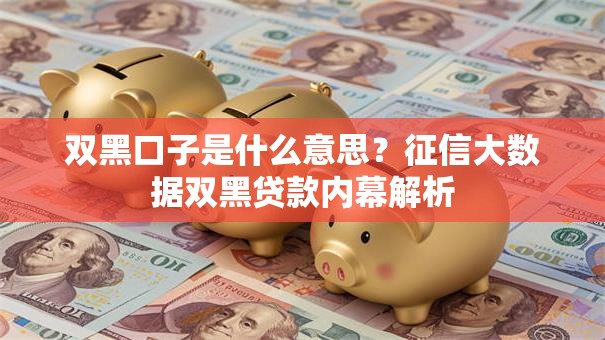 双黑口子是什么意思？征信大数据双黑贷款内幕解析