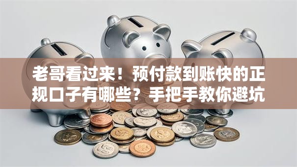 老哥看过来！预付款到账快的正规口子有哪些？手把手教你避坑