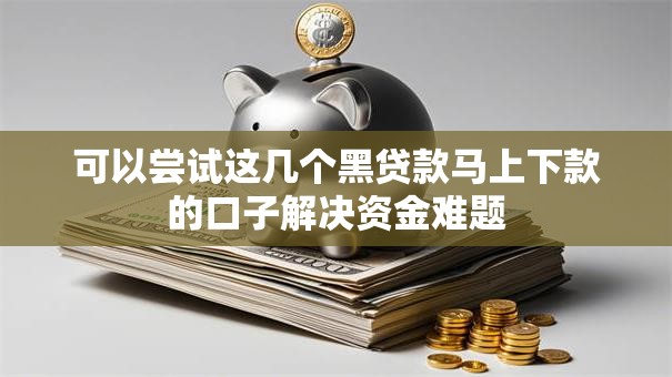 可以尝试这几个黑贷款马上下款的口子解决资金难题