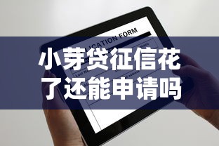 小芽贷征信花了还能申请吗？真实审批条件解析