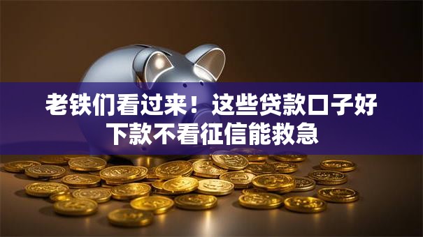 老铁们看过来！这些贷款口子好下款不看征信能救急