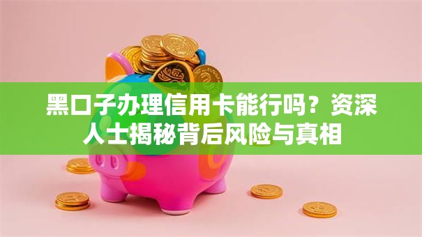 黑口子办理信用卡能行吗？资深人士揭秘背后风险与真相