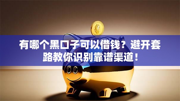 有哪个黑口子可以借钱？避开套路教你识别靠谱渠道！